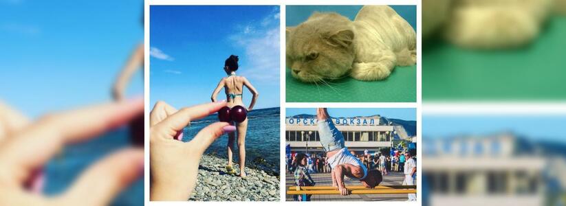 Новороссийск в Instagram: лысый котик, занятия на брусьях и интересные ягоды