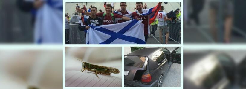 Новороссийск 22 июня: саранча атаковала Кубань, земляки на Чемпионате Европы по футболу и поиски женщины
