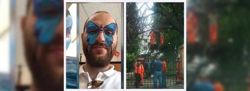 Новороссийск в Instagram: сбор абрикосов у администрации и рабочее совещание в маске бабочки