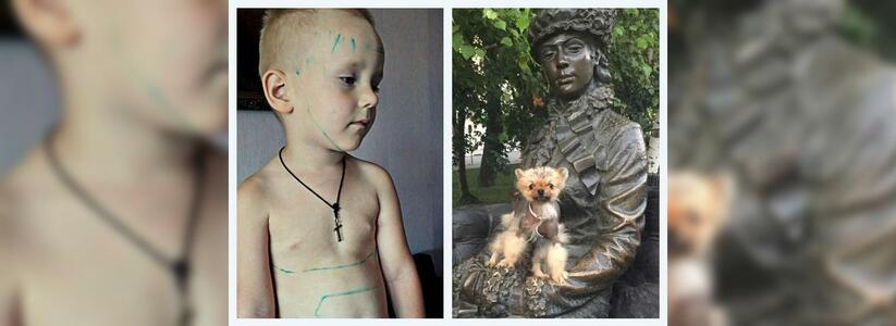 Новороссийск в Instagram: юный мастер тату и девушка с собачкой