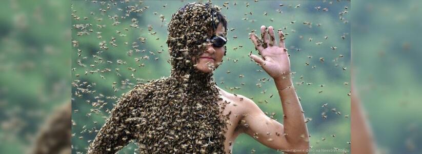 Советы врача: что делать при укусе пчелы или осы?