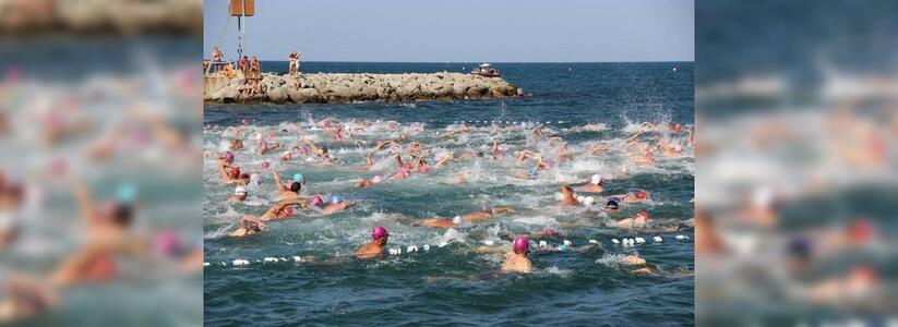 В Геленджике пройдет массовый заплыв: желающие проплывут 1875 метров