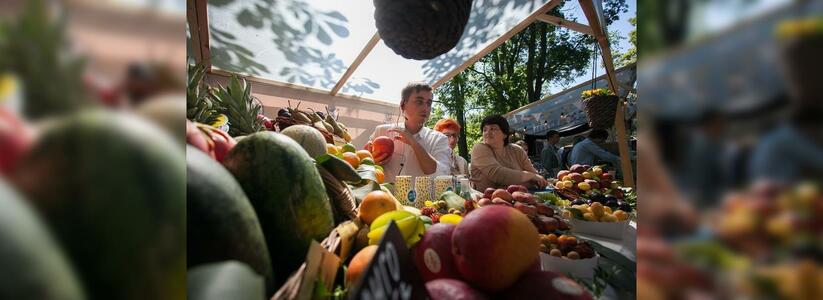 В Абрау-Дюрсо пройдет масштабный фестиваль «О, да! Еда!»: за 200 рублей можно будет попробовать изысканные блюда и вина