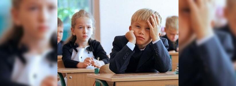 Какие денежные взносы в школе являются обязательными в Новороссийске? Отвечает специалист