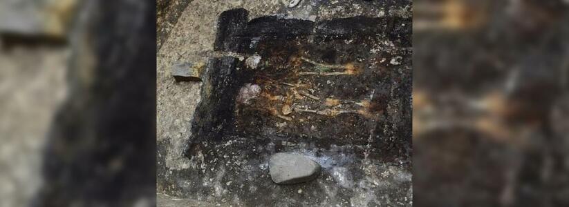 На Кубани археологи нашли останки двух детей: возраст захоронения составляет 2,7 тысячи лет