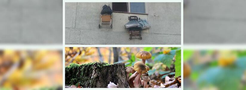 Новороссийск в соцсетях: новая опция старой квартирки и золотая осень