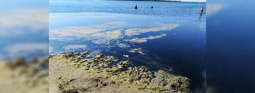 «И как люди в этом купаются?»: туристы в Анапе возмущены вонью и грязью на пляжах