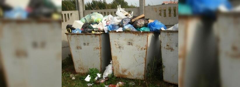 Частники в Новороссийске задолжали за вывоз мусора 35  миллионов рублей