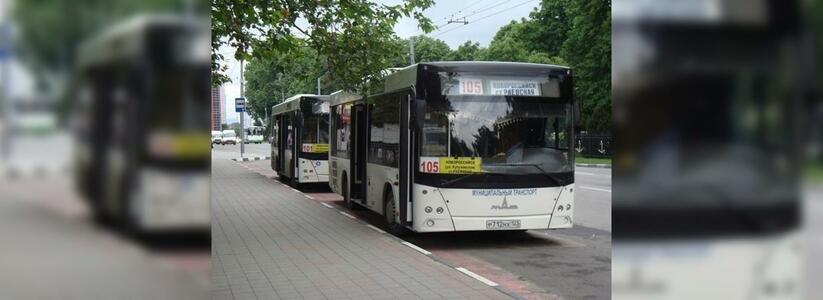 По дорогам Новороссийска начнут ездить 9 новых автобусов и 7 троллейбусов