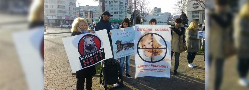 В Новороссийске прошел пикет против жестокого обращения с животными