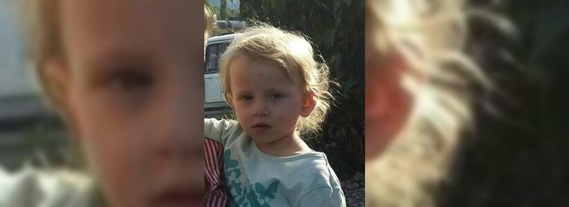 Пропавшую в Новороссийске двухлетнюю девочку нашли