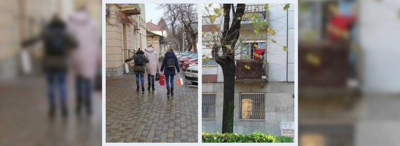 Что обсуждали в Новороссийске 19 декабря: гололед и украденный ковер