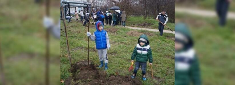 «Пионерская роща», «Прилагунье» и парк «Южные пруды» в Новороссийске стали особо охраняемыми