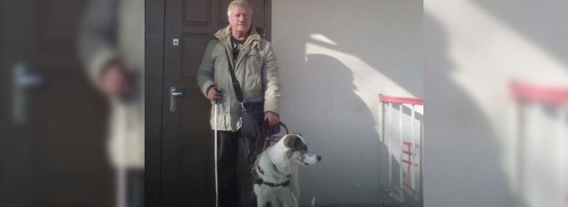 Слепого новороссийца не пустили с собакой-поводырем в гостиницу, из-за того что «от животного много шерсти»
