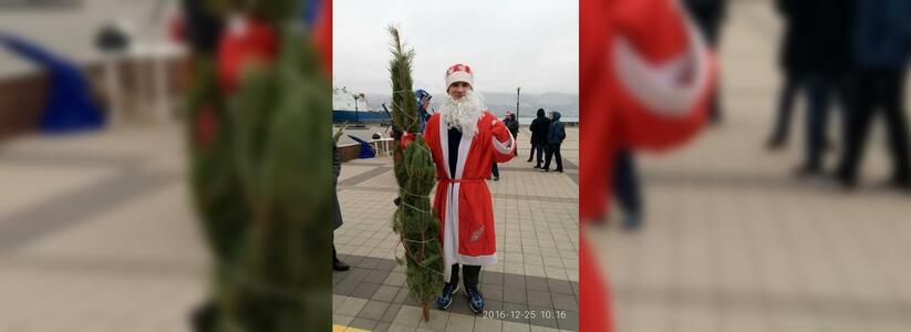 В Новороссийске Деды Морозы показали, кто быстрее: сказочные персонажи пробежали 800 метров ради живой елки