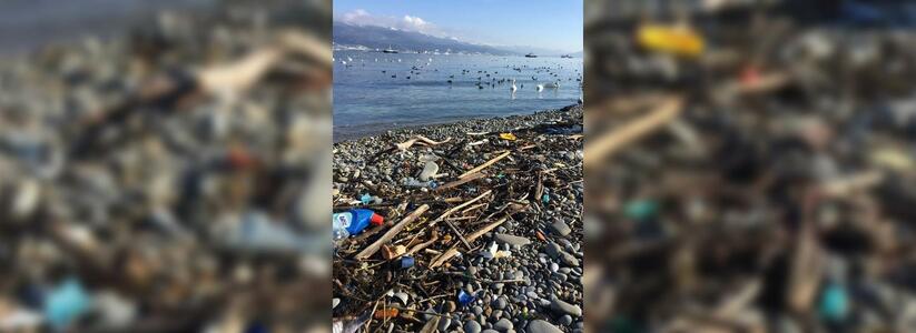 Жители Новороссийска возмущены: пляж «Нептун» буквально завален мусором