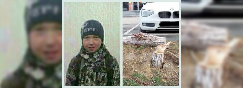 Что обсуждали в Новороссийске 23 января: уничтоженные деревья и поиски несуществующего мальчика