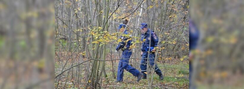 В лесу под Новороссийском местные нашли человеческий череп
