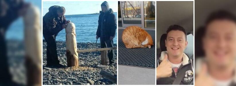 Волшебная лавочка, молящийся кот и звезды в городе: итоги недели в Новороссийске