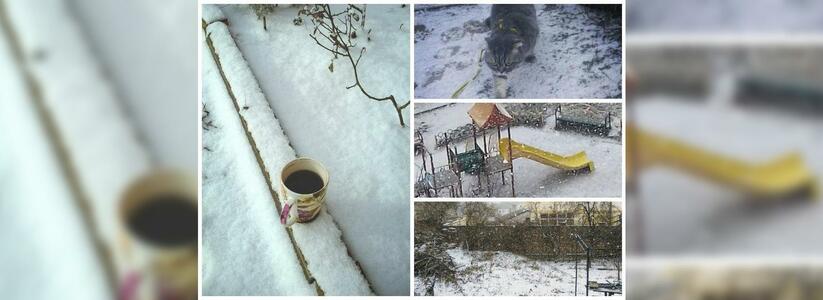 В Новороссийске выпал снег: подборка зимних фото от горожан