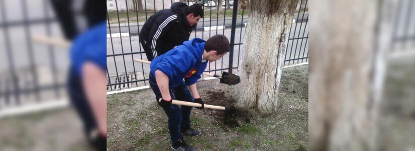 Новороссийские студенты будут помогать благоустраивать дворы