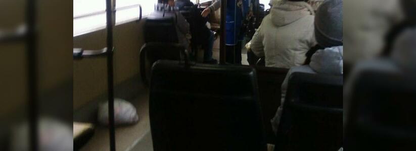 В Новороссийске перекрыли улицу Лейтенанта Шмидта: в троллейбусе обнаружили подозрительный предмет
