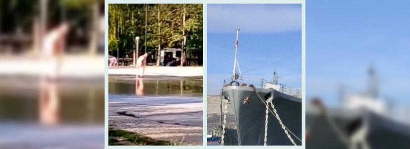 Что обсуждали в Новороссийске 3 мая: голая женщина искупалась в фонтане и буксировка Кутузова в Крым