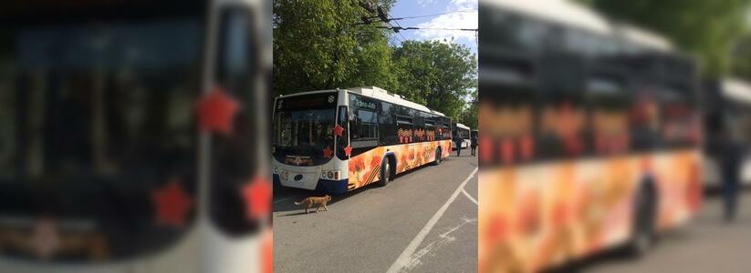 В Новороссийске запустили праздничный троллейбус ко Дню 9 мая