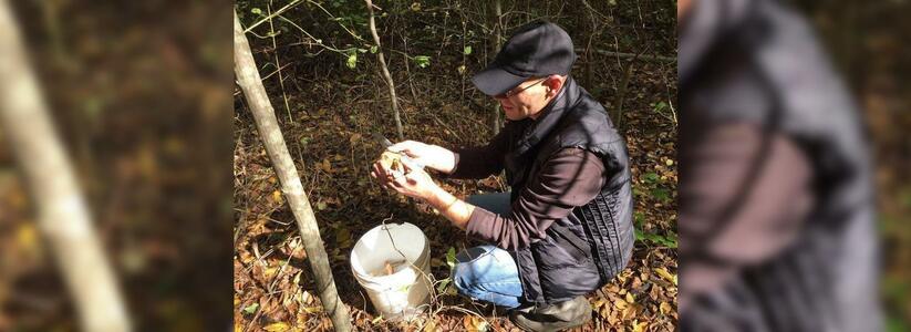 В лесах Новороссийска появились первые грибы