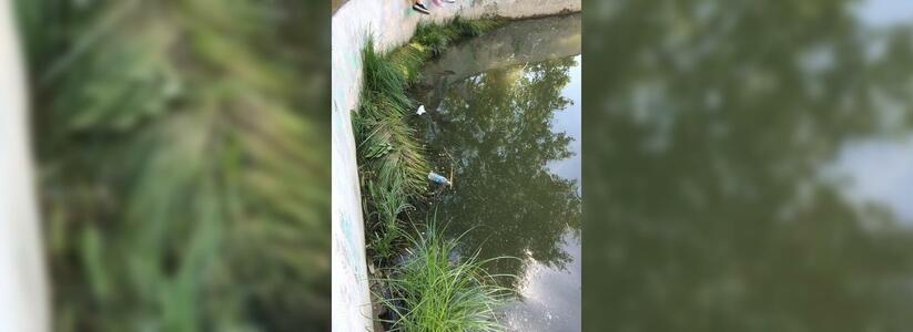 «Водоем превратился в помойку!»: жители Новороссийска обеспокоены состоянием пруда в парке Фрунзе