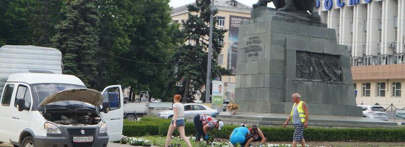 В июне в клумбах Новороссийска высадят 191 тысячу цветов