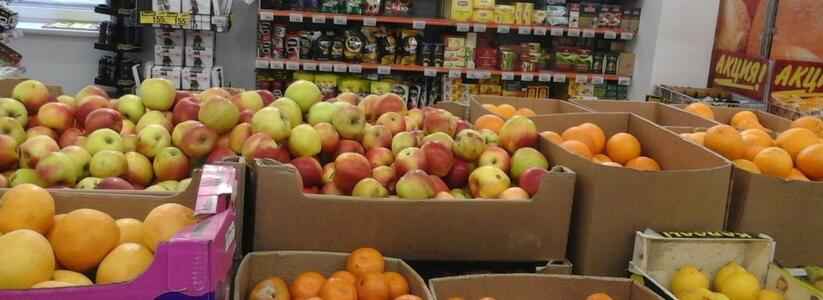 В Новороссийск пытались завезти 2 тонны зараженных фруктов