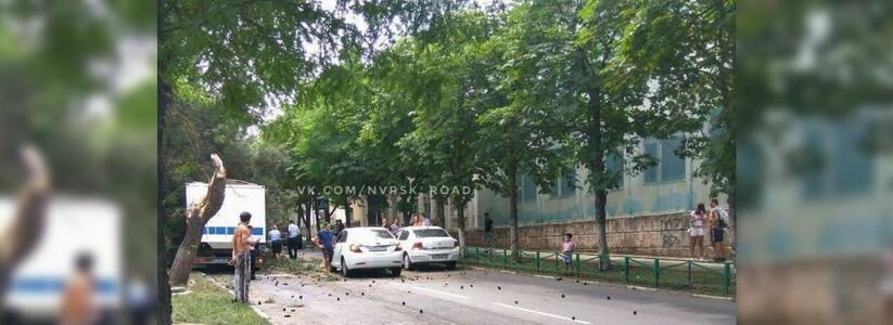 В Новороссийске автозак въехал в дерево: очевидцы сняли на видео последствия столкновения