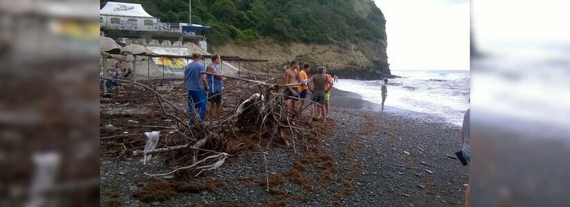 Во время сильного шторма на берег волнами вынесло водоросли, ветки и другой мусор.
