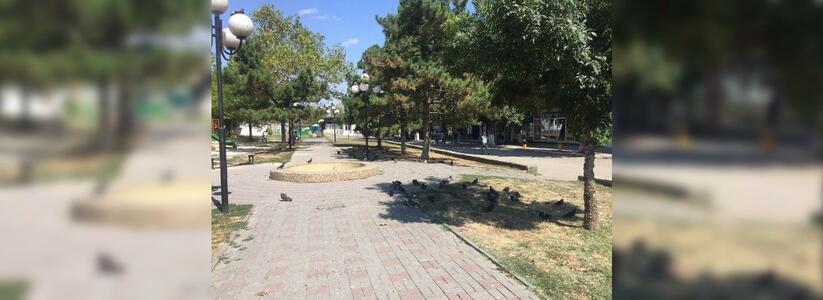 Местные жители заметили кладбище птиц около ЗАГСа.