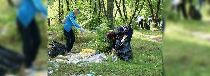 В Новороссийске пройдет квест по уборке территорий «Чистые игры»: соревноваться будут 50 экологов