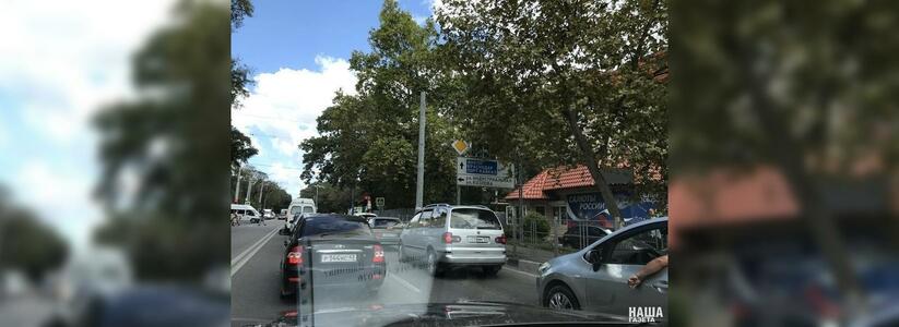 «Из-за листьев знаков не видно!»: автолюбители Новороссийска жалуются на закрывающие знаки деревья