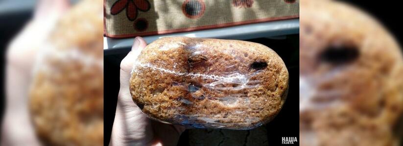 «Приятного аппетита»: жители Новороссийска купили хлеб с насекомыми
