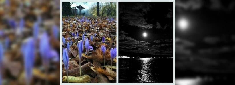 Лунная ночь и волшебный момент - что постили жители Новороссийска в соцсетях