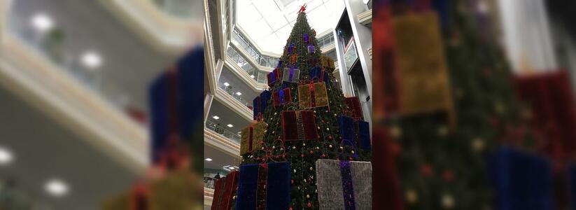 Новороссийцы возмущены ранней установкой новогодней елки в торговом центре