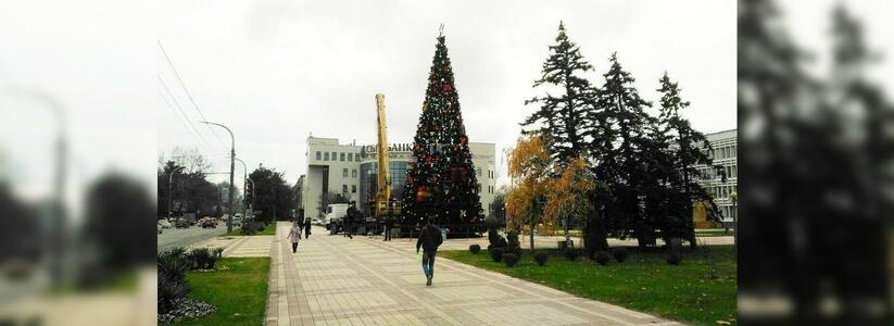 В Новороссийске нарядили главную городскую елку: мнение горожан