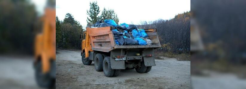 В Новороссийске в следующем году на вывоз мусора потратят около 10 миллионов рублей