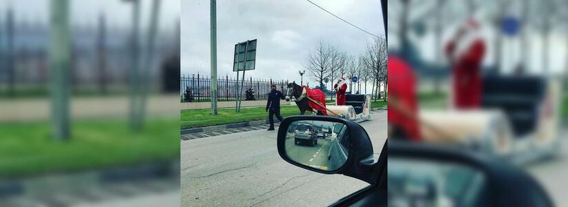 «Он настоящий!»: по Новороссийску проехал Дед Мороз на санях, запряженных лошадью