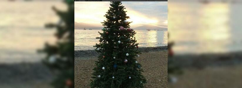Елочке не холодно зимой: в Новороссийске на пляже установили новогоднюю ель