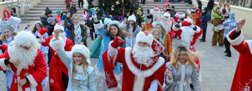 Стало известно, сколько жителей России не отмечали Новый год дома, а приняли участие в массовых новогодних гуляньях
