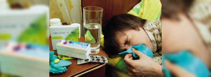С начала года ОРВИ и гриппом в Новороссийске заболели 263 человека: более 40% госпитализированы