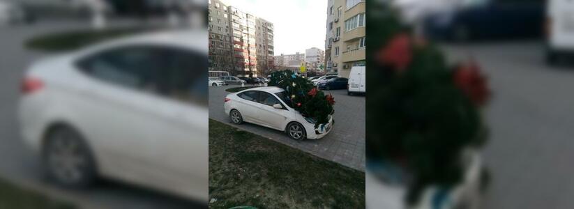 В Новороссийске ветром сдувает новогодние елки: одна из них упала на автомобиль