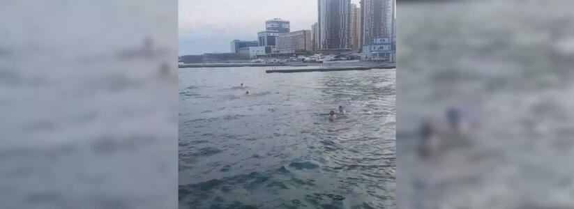 Новороссийские «моржи» сняли на видео купание в штормовую погоду