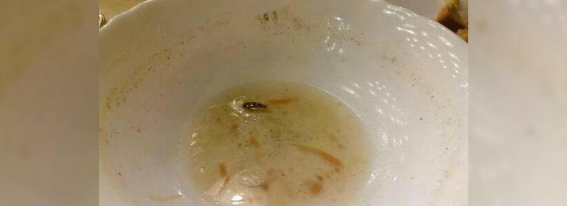 Пациенты новороссийской «инфекционки» заметили в еде тараканов