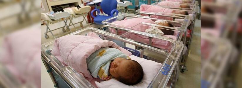 Росстат сообщил о падении рождаемости в России: сколько детей родилось в Новороссийске